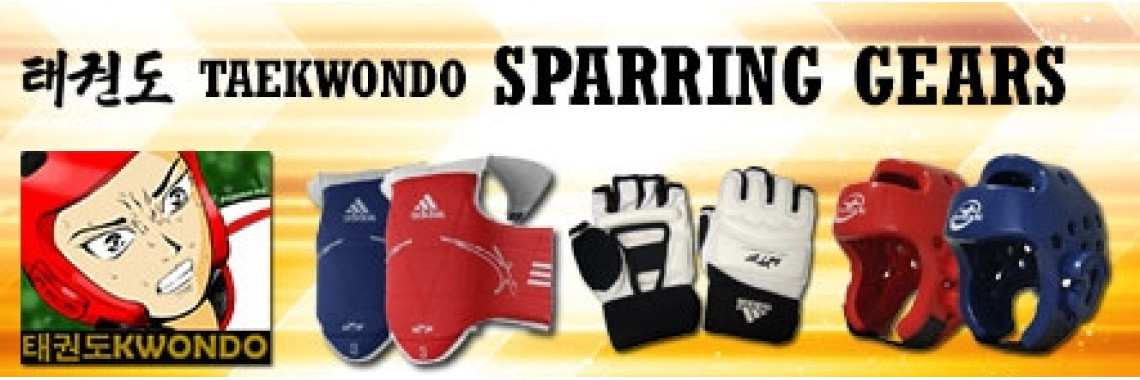 Taekwondo sparring gear